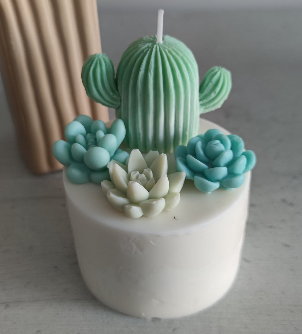 Vela Jardín de cactus