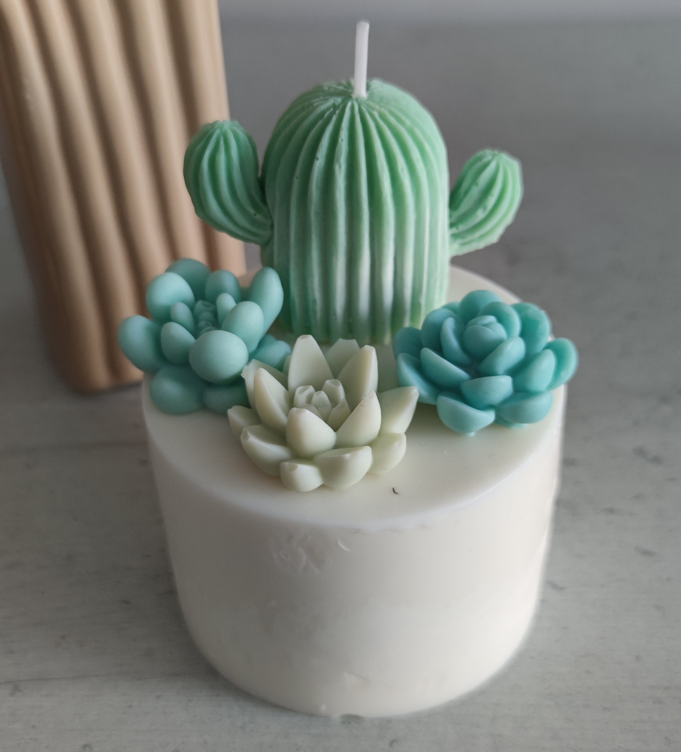 Vela Jardín de cactus